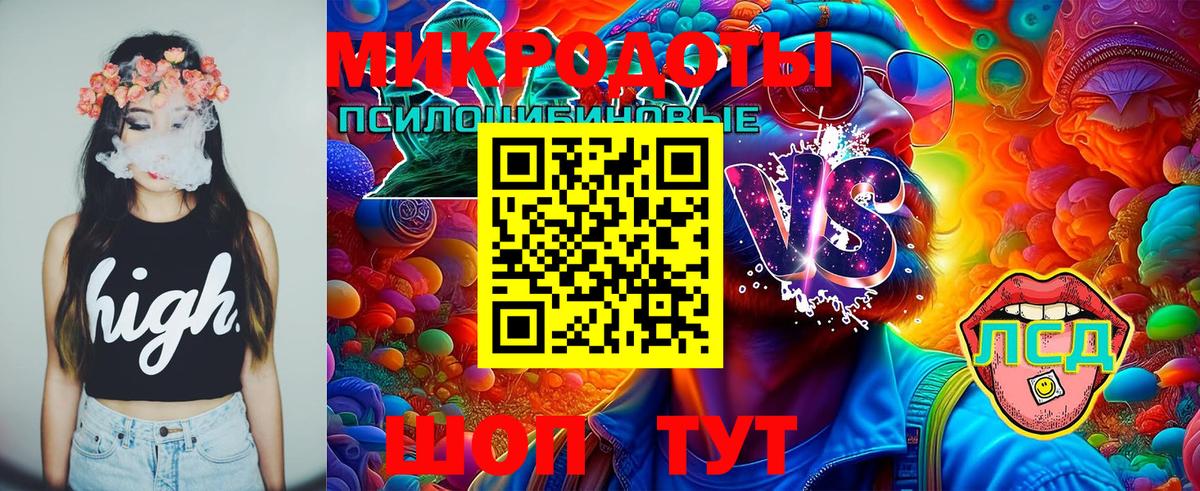 Каменка  Галлюциногенные грибы MAGIC MUSHROOMS  Вход с VPN  Галлюциногенные грибы ЛСД 