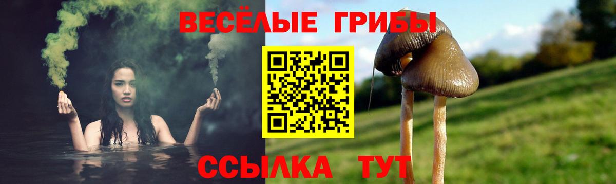 Галлюциногенные грибы Cubensis Каменка